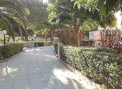 Lido